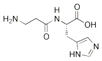 Carnosine