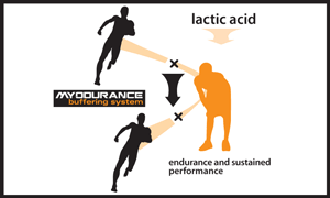 Myodurnace diagram